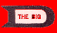 Big D logo